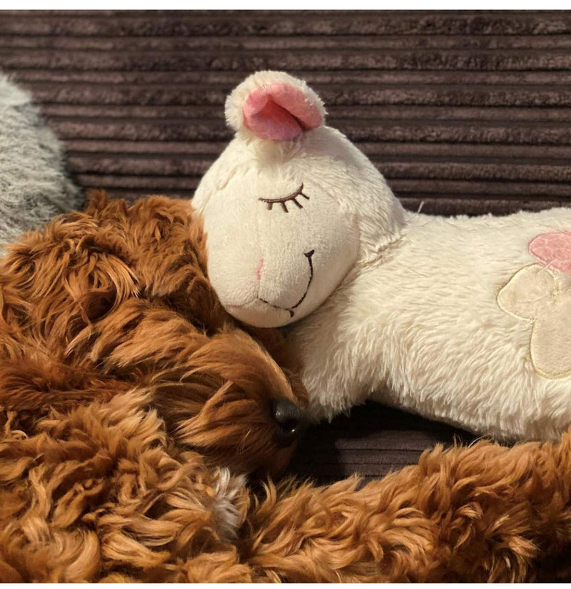 All for Paws Puppy Behavioral Aid Heart Beat Comfort Toy, Dog Anxiety Sleep Aid Plush Toys White Sheep 1 Heartbeat - PawsPlanet Australia