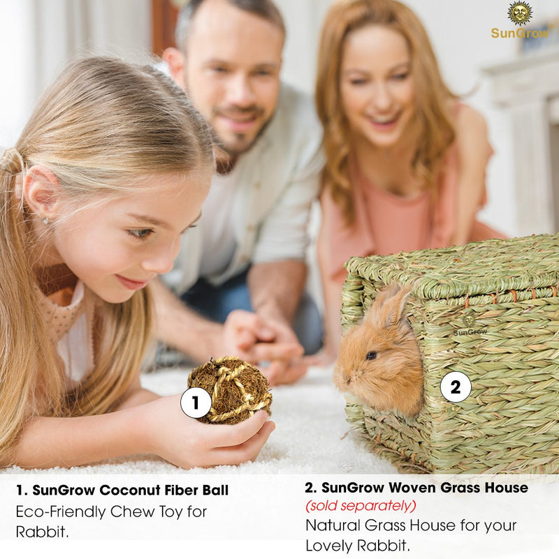 [Australia] - SunGrow Guinea Pig Coco Fiber Toy, 3 Inches, Teeth Floss Ball, Improves Dental Health, Chew Toy Provides Stimulation, Play Catch, Tug of War, Fetch, Stress Reliever, Ideal for Pocket Pet, 1 Piece 