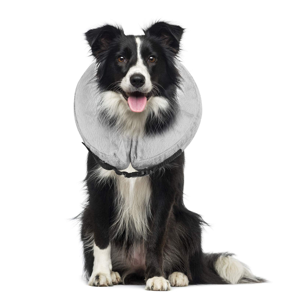 Petyoung Inflatable Collar for Dogs and Cats, Soft Collar with Adjustable Buckle, Ideal for Recovery from Surgery or Wounds, Does Not Block Vision (M, Grey) M - PawsPlanet Australia