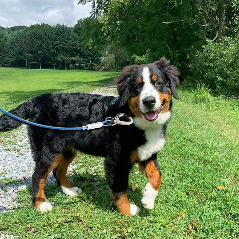 Dog Tie Out Cable with 360° Swivel Lockable Hooks and PVC Coating, 10ft 15ft 20ft 25ft 40ft Reflective Dog Lead Line, Galvanized Steel Wire Rope for Small to Medium Pets Up to 60, 120, 250 lbs 10ft-3.3mm Blue - PawsPlanet Australia