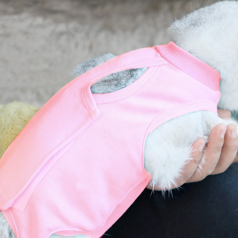 Fayemint Recovery Suit Cat, Pet Protective Clothing, Recovery Suit Cat Pink, for Surgery, Treatment, Weaning and Castration of Skin Diseases in Pets (M, Pink) - PawsPlanet Australia