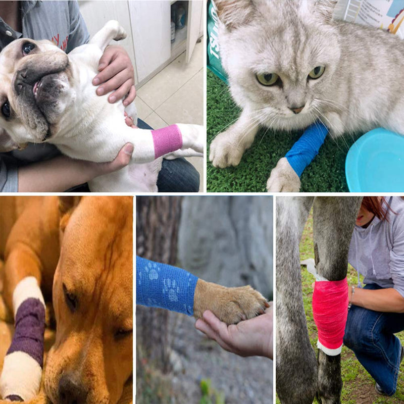 Maotrade 6 Rolls Cohesive Bandages 5cm x 4.5m Vet Wrap for Dogs Breathable Self Adhesive Bandage for Pet Animal Cat Horses Sport Ankle Wrist Foot Finger Knee Tail and Wounds - PawsPlanet Australia