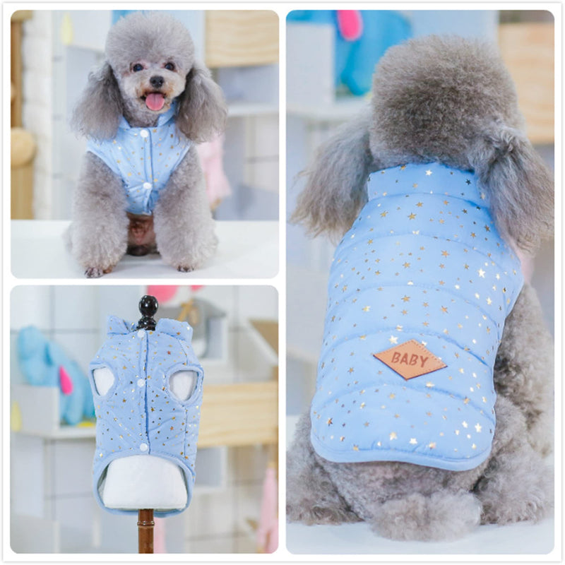 Xqpetlihai Small Dog Winter Coat Small Dog Clothes Fashion Windproof Cute Dog Coat Pet Warm Lightweight Outdoor Winter Warm Small Dog Vest Cozy Cold Weather Puppy Jacket for Small Medium Dogs Blue - PawsPlanet Australia