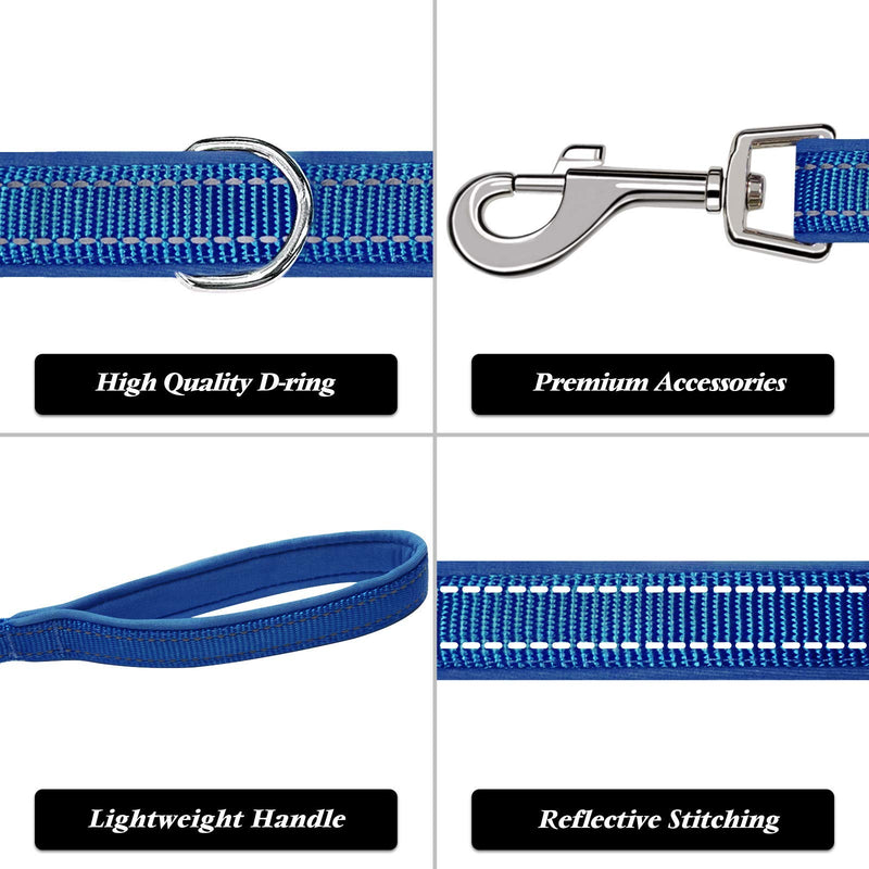 azuza 3 Pack Nylon Dog Leashes,Strong & Durable Basic Style Leash with Easy to Use Collar Hook,Available in Multiple Lengths for Puppy Small Medium and Large Dogs padded 2 pack 1"×4ft BLue - PawsPlanet Australia