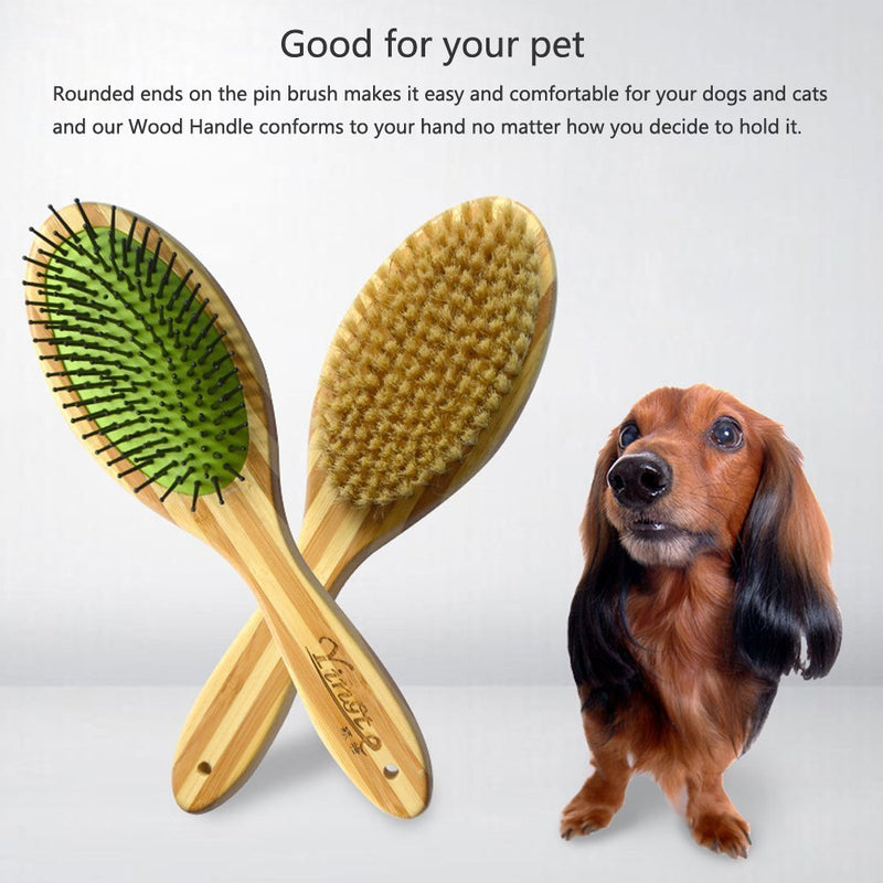 Dog Brush, ICEBLUEOR Pet Comb Professional Double Sided Pin & Bristle Bamboo Massage Brush for Dogs & Cats with Long or Short Hair - PawsPlanet Australia