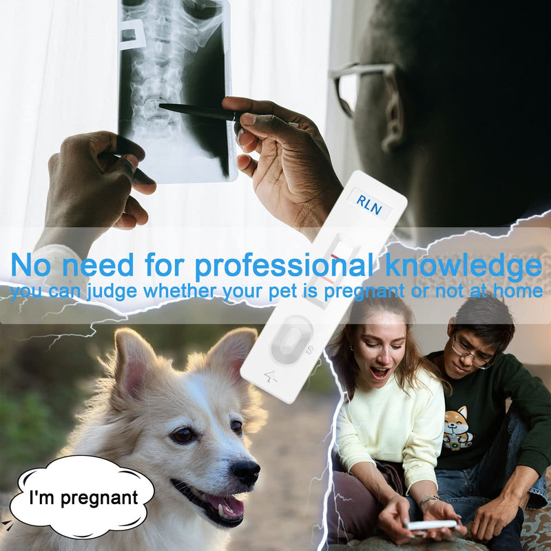 HHUK Pet Dog Pregnancy Test Paper,Canine RLN Early Pregnancy Test Kit, Simple Operation for Early Pregnancy Detection Yourself at Home,One-time Use Pet Pregnancy Test Complete Tool Kit (3PCS) - PawsPlanet Australia