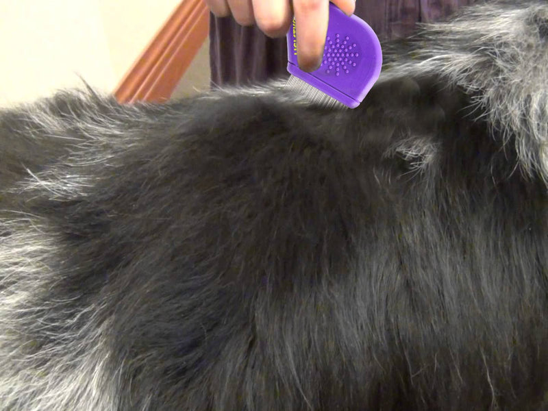 Long Teeth Flea Comb by Hertzko - Closely Spaced Metal Pins Removes Fleas, Flea Eggs and Debris, from Your Pet’s Coat - 25mm Long Metal Teeth are Great for Long Hair Areas on Dogs and Cats - PawsPlanet Australia