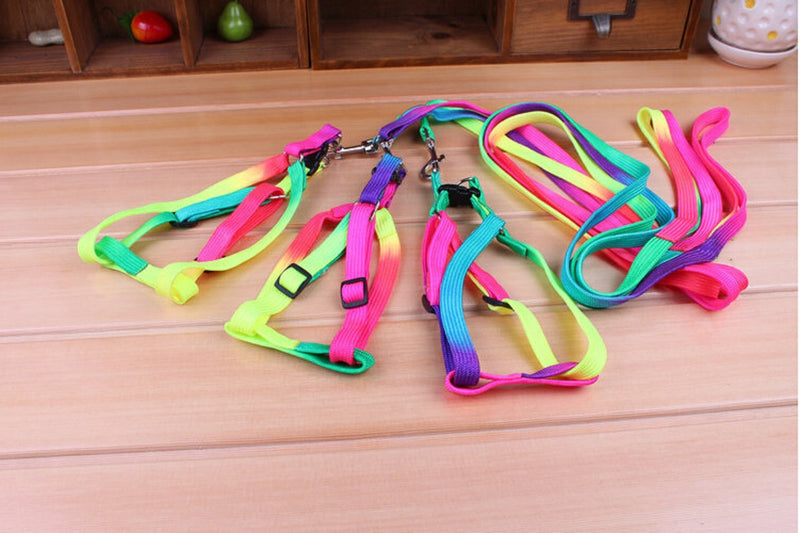 yueton Dog Pet Puppy Cat Kitty Adjustable Nylon Leash Rainbow Dog Chest Straps Chain Seven Color Traction Thoracic Dorsal Suits Dog Rope Dog's Leash Chain - PawsPlanet Australia