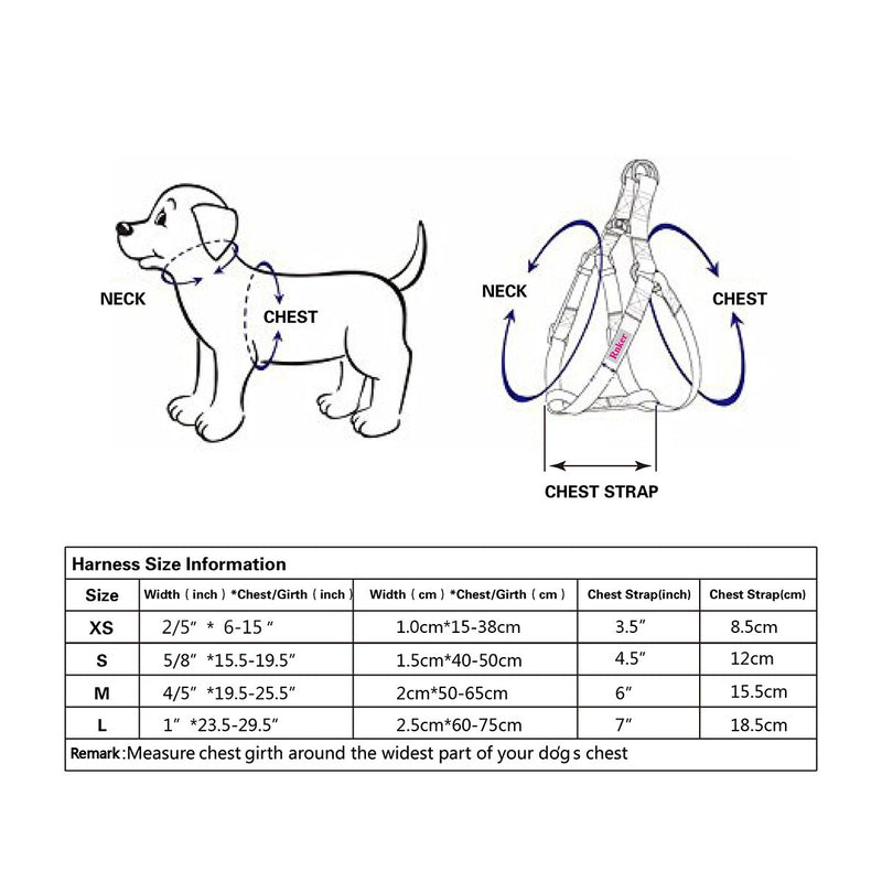 [Australia] - Rnker Step-in Harnesses, no Pull, Flowers Pattern hot Stamping, Neoprene Padded, Adjustable Walking, Training Dog Harness M (19.5-25.5" Chest Girth) Purple 