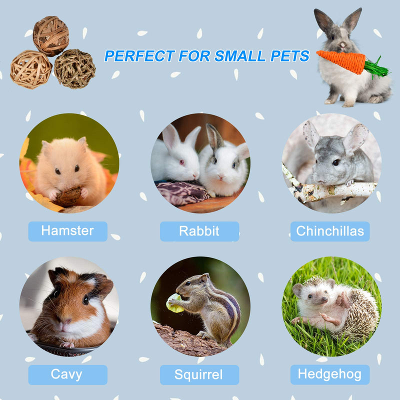 MORDEN MS Small Animal Activity Toy, 6 Pack Rat Rodent Chew Grass Ball Rolling Activity Toys Bunny Chewing & Gnawing Treats Toys for Guinea Pigs, Rabbits, Chinchilla, Hamsters - PawsPlanet Australia