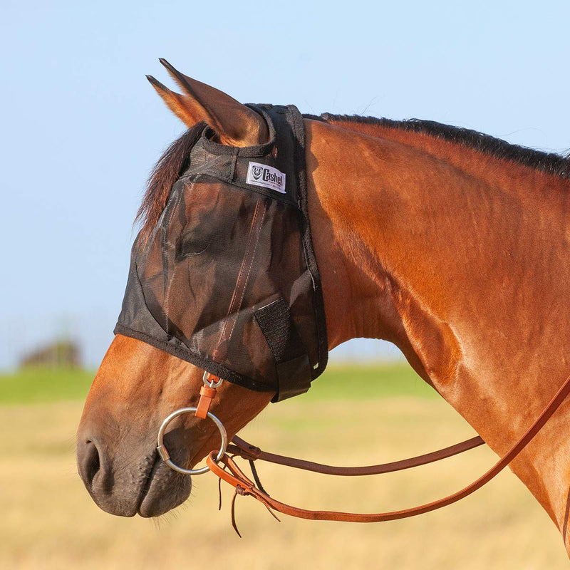 Cashel Quiet Ride Horse Fly Mask, Standard, Arabian/Small Horse - PawsPlanet Australia