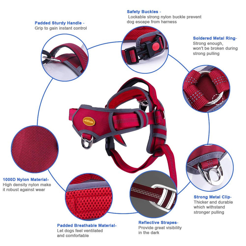 [Australia] - AdventureMore No Pull Choke Free Dog Halter Harness Leash Set - Dog Harness with Handle & 5 ft Double-Handle Shock Absorbing Bungee Dog Training Leash and Harness XL(chest 21-38 in, neck 23-35 in) Red 