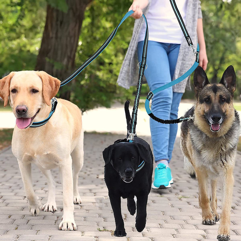 ETACCU Double Leads Free Hand Leads Training Leads with Retractable Leads 3M for Medium Dogs up to 50 kg, Large Dogs Robust Non-Slip Handle, Tangle Free, Reflective (Blue) L丨3M丨50kg丨Blue - PawsPlanet Australia