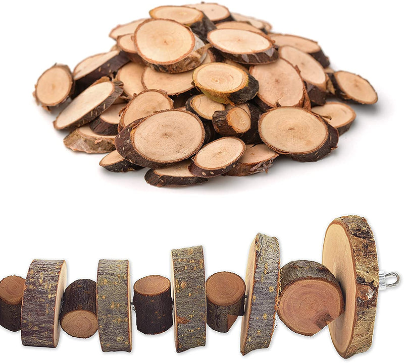 myiven Natural Organic Apple Wood Chew Toys, 3 Pack Small Animal Snack Toys Suitable for Rabbits, Guinea Pigs, Hamsters, Chinchilla, Teeth Grinding, - PawsPlanet Australia