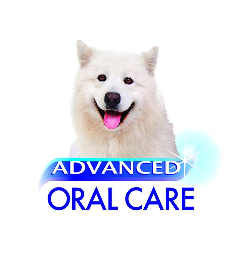 Nylabone Advanced Oral Care Senior Dog Dental Kit Bacon Flavor Small - PawsPlanet Australia