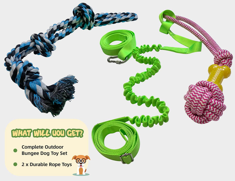 Dog Outdoor Bungee Hanging Toy - Retractable Interactive Tether Tug Dog Toy for Pitbull & Small to Large Dogs to Exercise & Tug of War, Extra Durable & Safe with Chew Rope Toy - PawsPlanet Australia