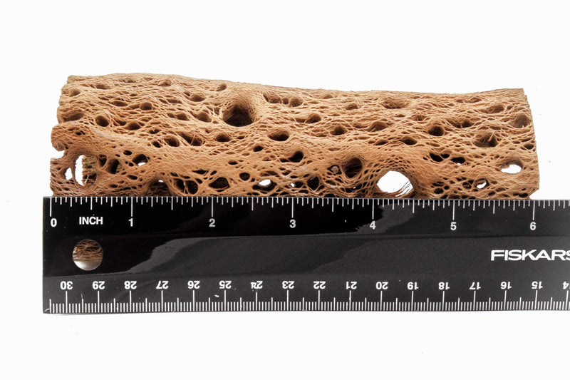 [Australia] - My Pet Patrol 3 to 48 Inch All Natural Teddy Bear Cholla Wood Extra Hollow Large Untreated Organic Aquarium Driftwood Decoration Chew Toy Shrimp Crab Multi-Quantity 2 Pieces, 6 inch 