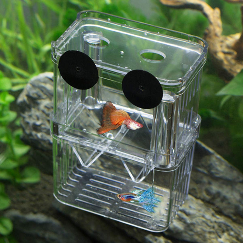 [Australia] - Ailinda Aquarium Fish Breeder Box Acrylic Aquarium Isolation Hatchery Perfect Isolator for Aggressive Fish Injured Fish Small Fish Shrimp Clownfish 