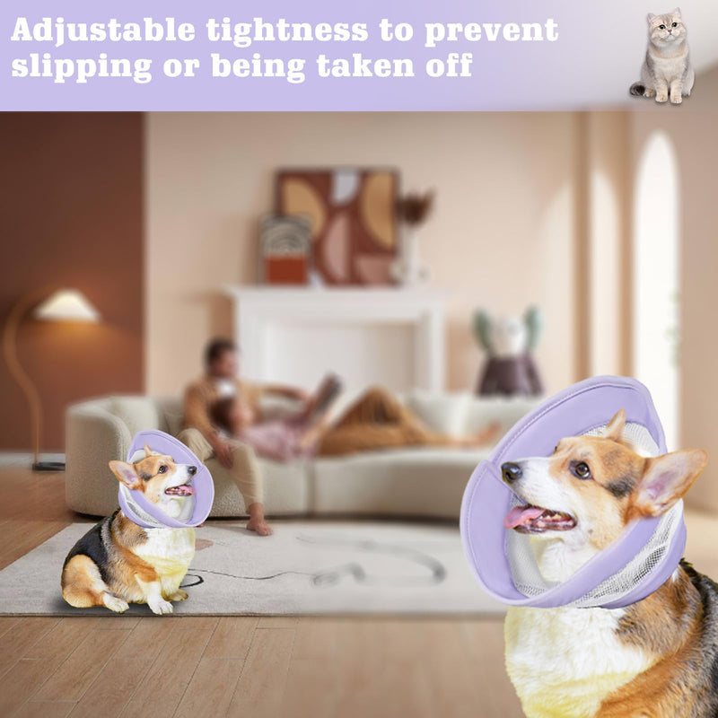 Neck brace for pets, cat collar: YIDM collar for dogs, collar, adjustable dog collar, dog collar, leak protection for dogs after operation, prevents biting, scratching, purple M - PawsPlanet Australia