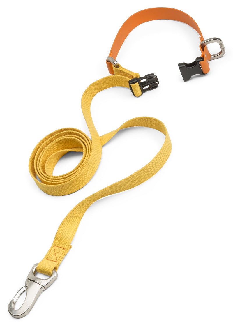 [Australia] - West Paw Jaunts Dog Leash with Comfort Grip, Small, Made in USA Large Goldenrod - Tangerine 