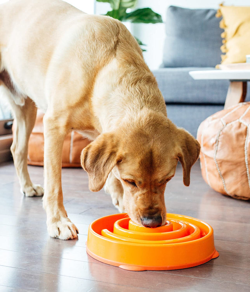 Outward Hound Fun Feeder Slo Bowl - Slow Feeder Dog Bowl Large/Regular Orange Swirl - PawsPlanet Australia