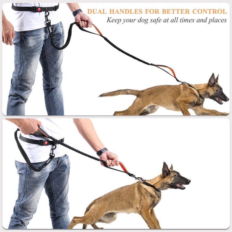 VIVAGLORY Hands Free Dog Lead with Double Upgraded Anti-Shock Bungees and Padded Handles, Reflective Waist Running Lead with Adjustable Belt for Training Jogging for Medium Large Dogs Fits waist from 65-110cm Black/Orange - PawsPlanet Australia