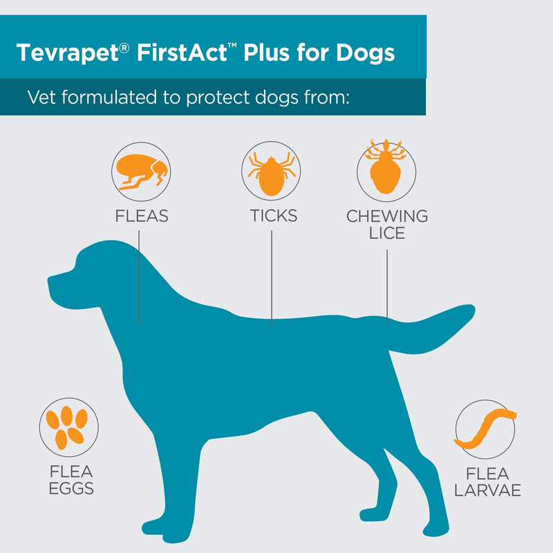 TevraPet FirstAct Plus Flea and Tick Prevention for Dogs, 6 Months Flea Control Medicine, Six Doses Small - PawsPlanet Australia