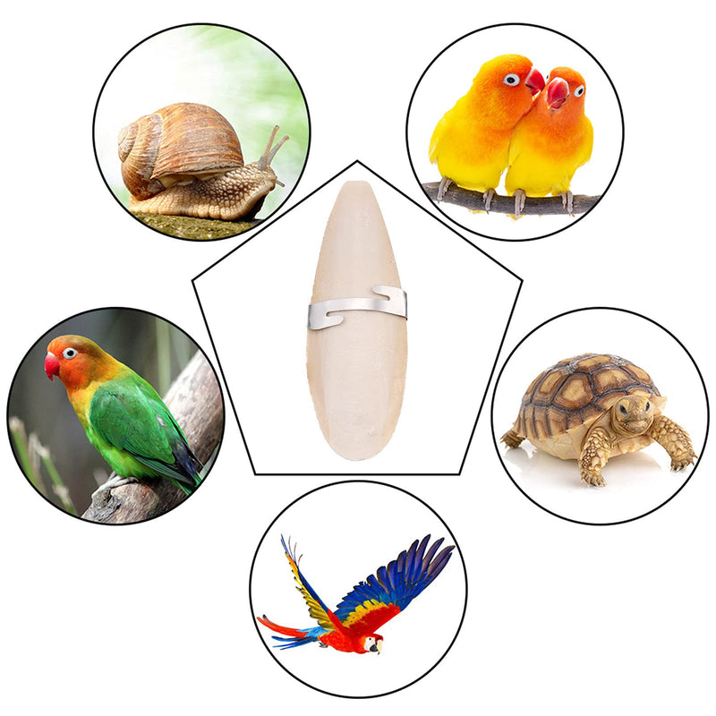 Fuyamp 4 Pieces Parrots Chew Toys Birds Chew Toys with 2 Pieces Metal Holder Cuttlefish Bone Bird Pet Molar Toy for Parrots Cage Birds Reptiles Tortoises Snails,12-14cm - PawsPlanet Australia