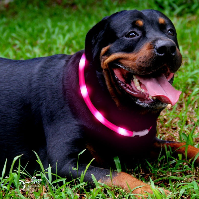 [Australia] - LED Dog Collar,USB Rechargeable Glowing Dog Collars, Light Up Collar Improved Pet Safety &Visibility at Night, 3 Flashing Modes,Water-Resistant Lighted Collar Fits For Small Medium Large Dogs pink 