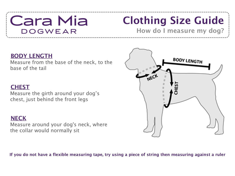 Cara Mia Dogwear Metallic Multi Coloured Paw Stud Collar with Diamante Buckle (Small) Small - PawsPlanet Australia