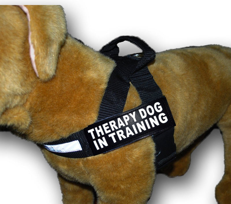 [Australia] - Therapy Dog in Training Nylon Harness No Pull Guide Assistance Comes with 2 Reflective Therapy Dog in Training Removable Reflective Patches. Please Measure Your Dog Before Ordering. Fits Girth 29-39" 