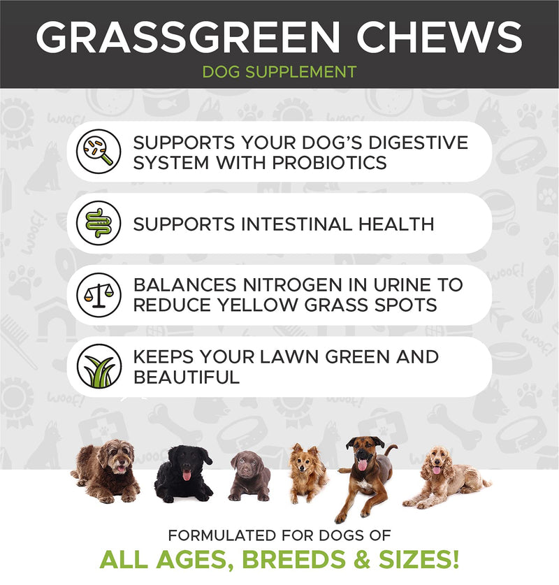 PetHonesty GrassGreen Grass Burn Spot Chews for Dogs - Dog Pee Lawn Spot Saver Treatment Caused by Dog Urine - Cranberry, Apple Cider Vinegar, DL-Methionine Grass Treatment Rocks - 90 Chews Duck - PawsPlanet Australia