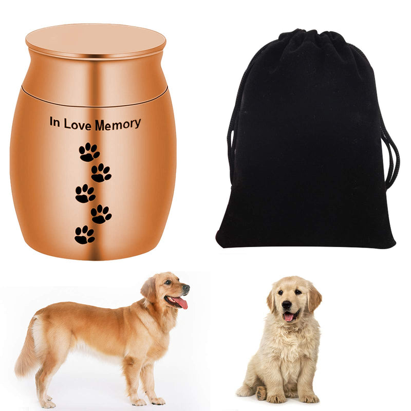 Broadsheet Mini Urns for Human Ashes, Metal Pet Urns for Dogs Ashes Keepsake Urns for Human Ashes, Pet Urns Dog Urns for Ashes Holder-Your Footprint Has Gone, But My Heart was Not (Gold) - PawsPlanet Australia