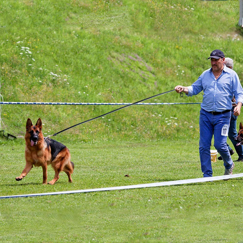 [Australia] - Didog Genuine Leather Dog Leashes, 8 Foot Professional Training Heavy Duty Dog Leashes, Fit Medium Large Dogs Walking Training Competition Black 