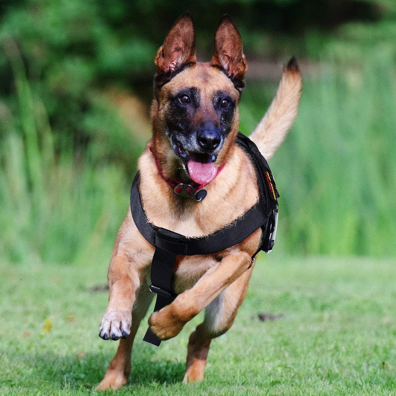 JIEPAI Tactical Dog Harness Vest and Leash, Military Dog Leash Tactical Adjustable Dog Vest Training Patrol Service Dog Vest for Large/Medium Dogs S Black - PawsPlanet Australia