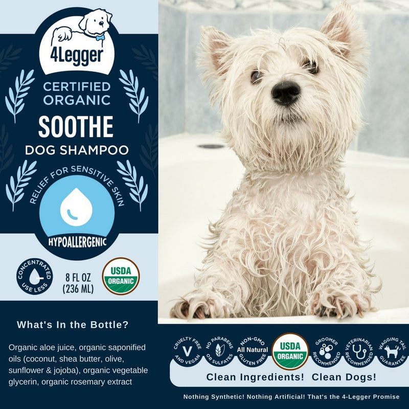 [Australia] - 4-Legger Aloe Dog Shampoo All Natural and USDA Certified Organic Dog Shampoo - Hypoallergenic and Unscented for Sensitive Skin - USA - 8 oz 