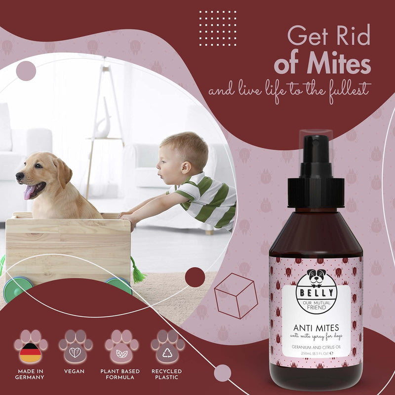 Belly Anti Mites Spray - Dog Mite Spray, An Ideal Mite Treatment For Dogs & Natural Mite Killer For On The Go - Mite treatment dogs - Alternative To Mite Shampoo For Dogs & Mite Drops For Dogs, 250 ml - PawsPlanet Australia