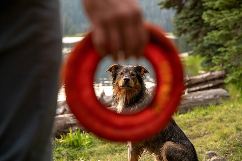 RUFFWEAR, Hydro Plane Floating Disc for Dogs Medium Campfire Orange - PawsPlanet Australia