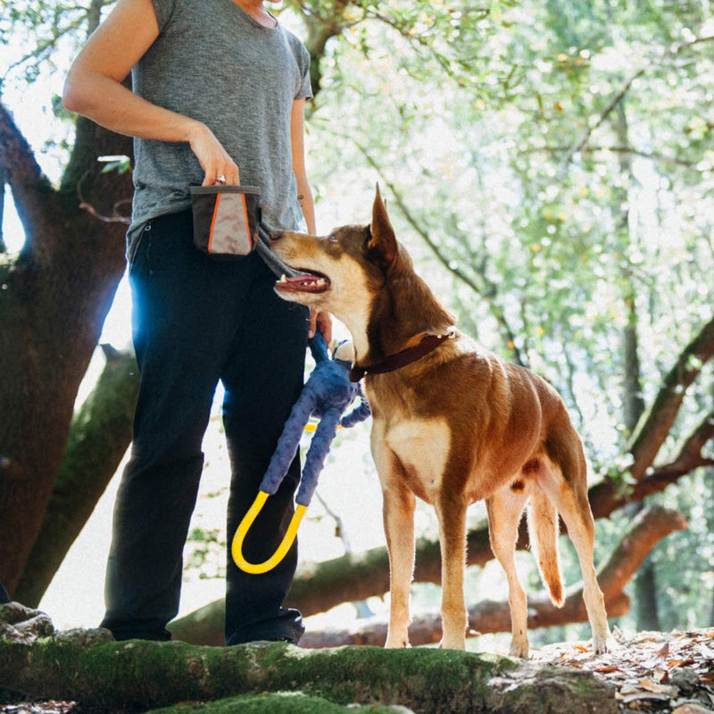 [Australia] - ZippyPaws - Portable Belt Adventure Dog Treat Bag Graphite 