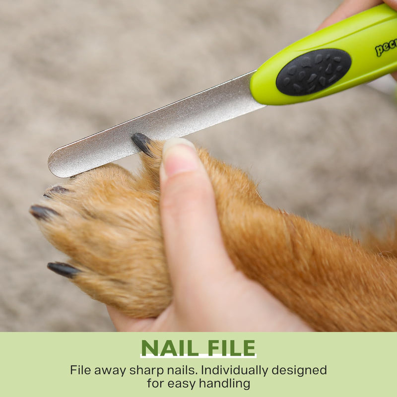 pecute claw scissors for dogs with nail file, professional claw care made of stainless steel, claw pliers for dogs with safety protection - PawsPlanet Australia