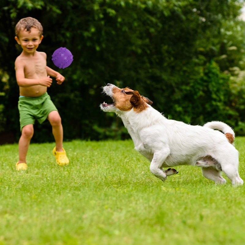 Frienda 4 Piece Dog Squeaky Ball Durable Rubber Fun Interactive Toys Non-Toxic Dog Chew Toys Outdoor Dog Tennis Ball for Large and Small Dog - PawsPlanet Australia