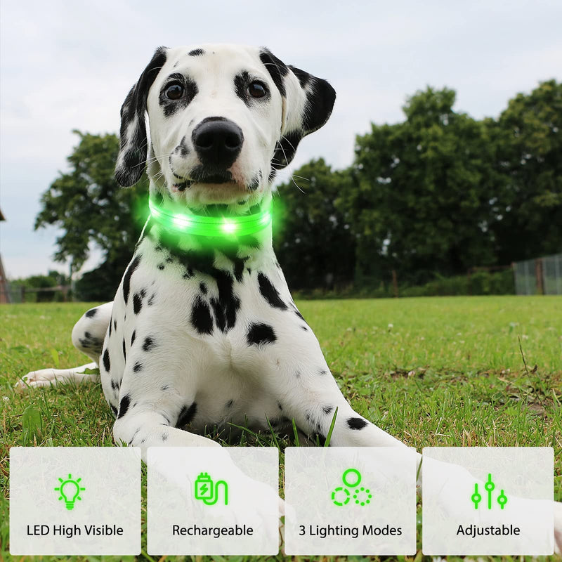 Dog Collar Luminous Collar Waterproof Light Up LED Dog Collar USB Rechargeable Flashing Reflective Dog Collars Adjustable Super Bright for Large Medium Small Dogs Green M M (38-50 cm, 2.5 cm) - PawsPlanet Australia