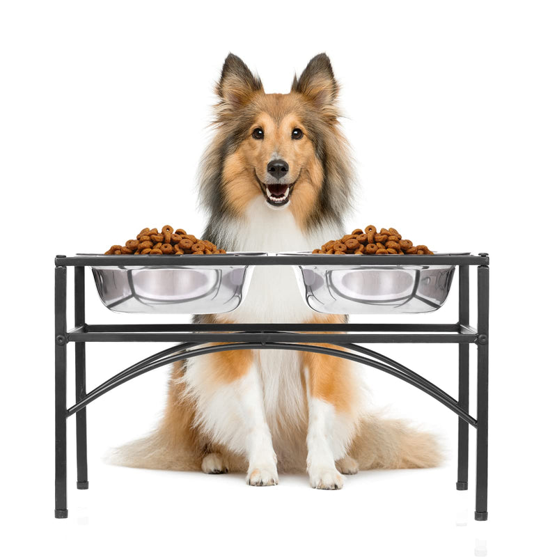 Funkeen Raised Dog Bowls Elevated Bowls Feeder with Two Stainless Steel Bowls Pet Feeding Bowl Water Food For Medium Dog Pet - PawsPlanet Australia