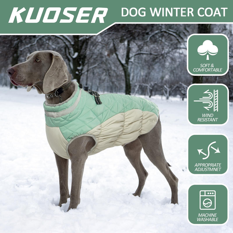 Kuoser Warm dog coat, windproof dog jacket, reflective dog coat for small dogs, dog coat winter outside, dog coat large dogs with zip with zip green M - PawsPlanet Australia