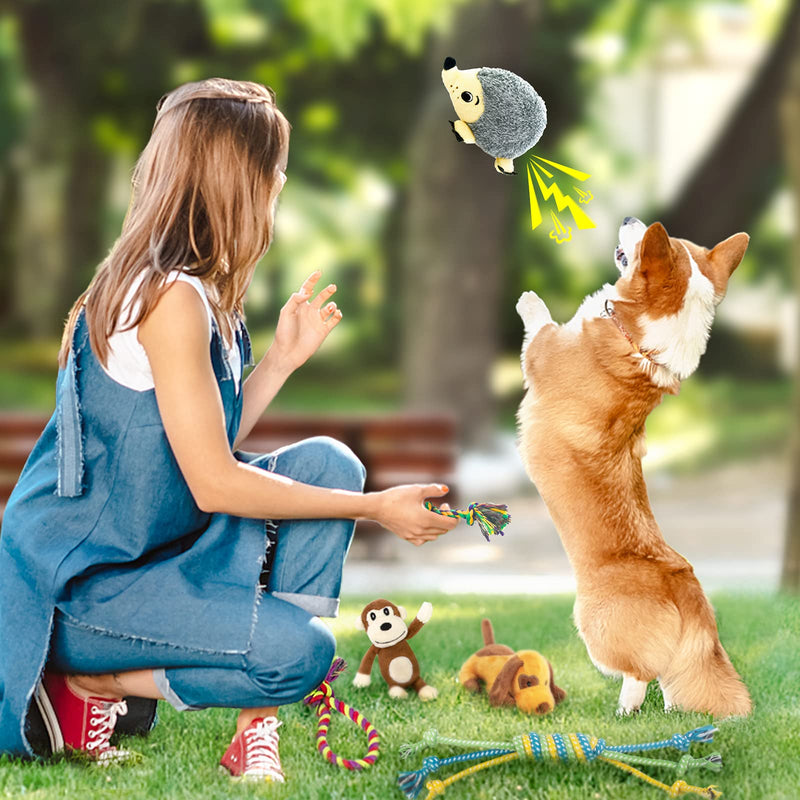 Dog Squeaky Toys for Small Dogs, 12 Pack Puppy Toys for Teething Cute Small Dog Toys Stuffed Plush Dog Toy Bundle Natural Cotton Puppy Rope Toy Dog Chew Toys for Puppies Pet Toys for Dogs - PawsPlanet Australia