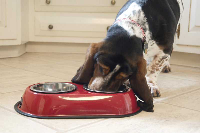 [Australia] - Iconic Pet 2-Cup Color Splash Stainless Steel Double Diner for Dog/Cat Red 