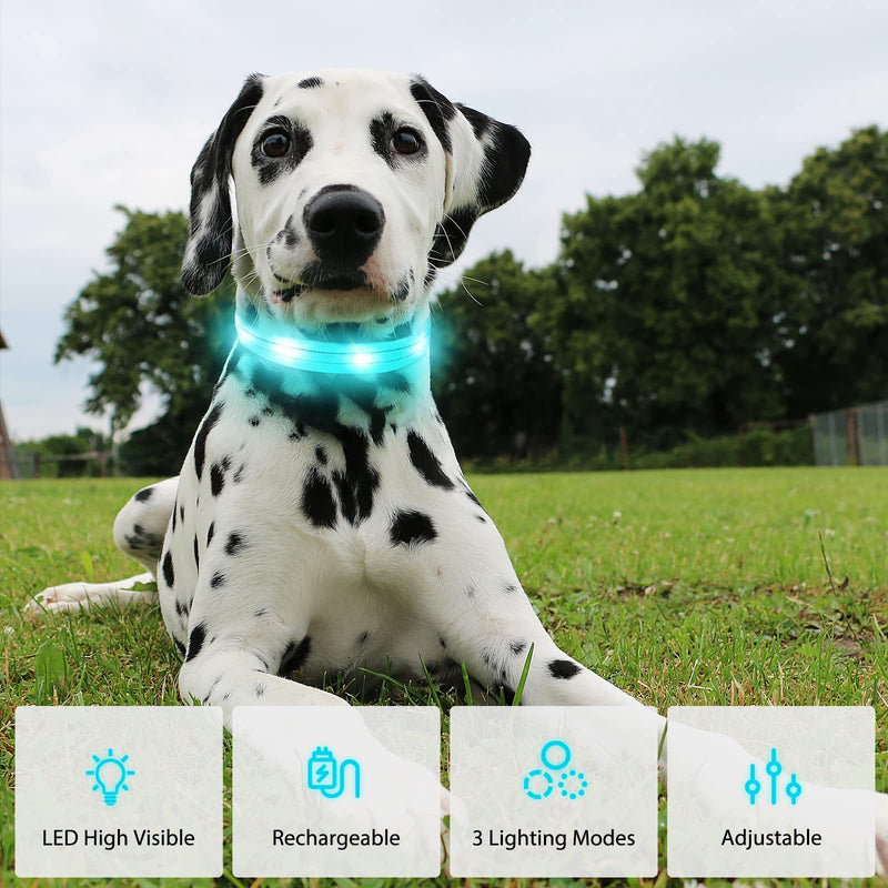 Dog Collar Luminous Collar Waterproof Light Up LED Dog Collar USB Rechargeable Flashing Reflective Dog Collars Adjustable Super Bright for Large Medium Small Dogs, Blue-XS XS (25-32cm, 2cm) - PawsPlanet Australia