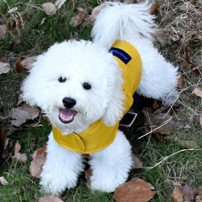 Avanigo Dog Wear Yellow Dog Raincoat with Pockets, Dog Rain Jacket with Hood, Rain/Water Resistant, Stylish Premium Dog Raincoats L Blue - PawsPlanet Australia