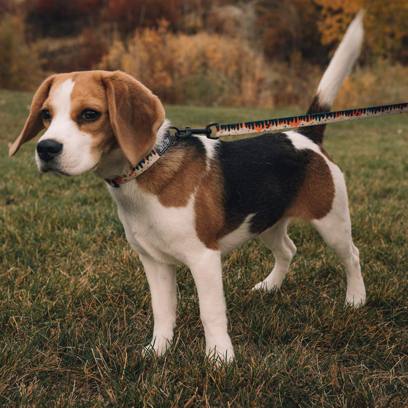 [Australia] - Wolfgang Man & Beast Premium USA Webbing Puppy Dog Collar for Small Medium Large Dogs Medium (1 Inch x 12-18 Inch) OverLand Print 