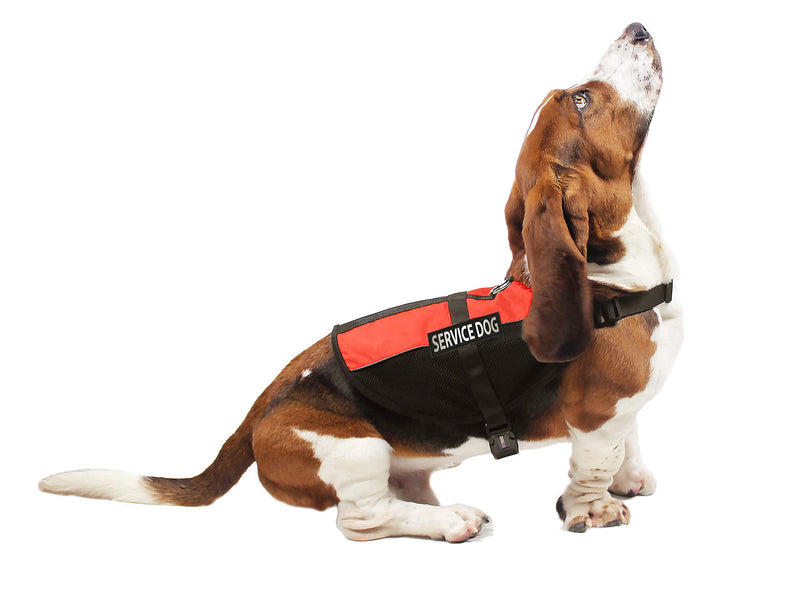 [Australia] - Dogline Service Dog Vest Harness Bundle Official Red Service Dog Reflective Leash & Patches Service Dog in Training Set Service Dog ADA IDs with Holder & Lanyard for Travel Support Therapy Dogs Girth 17-21” 